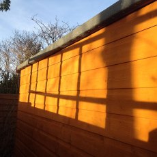 10x8 Shire Norfolk Professional Pent Shed - tongue and groove wall cladding